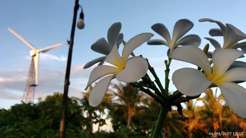 Rai Lung Tui Homestay Прачуапкхирикхан Экстерьер фото