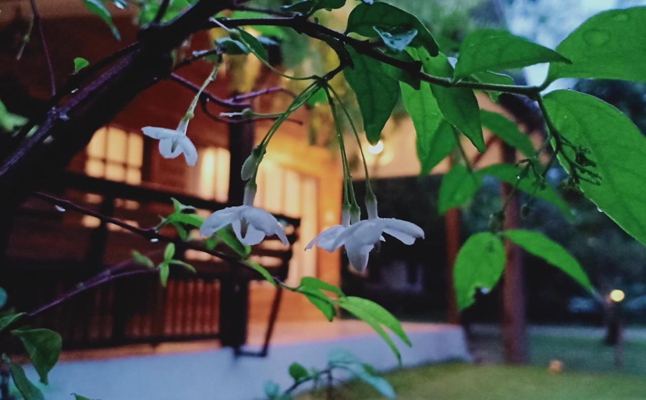 Rai Lung Tui Homestay Прачуапкхирикхан Экстерьер фото