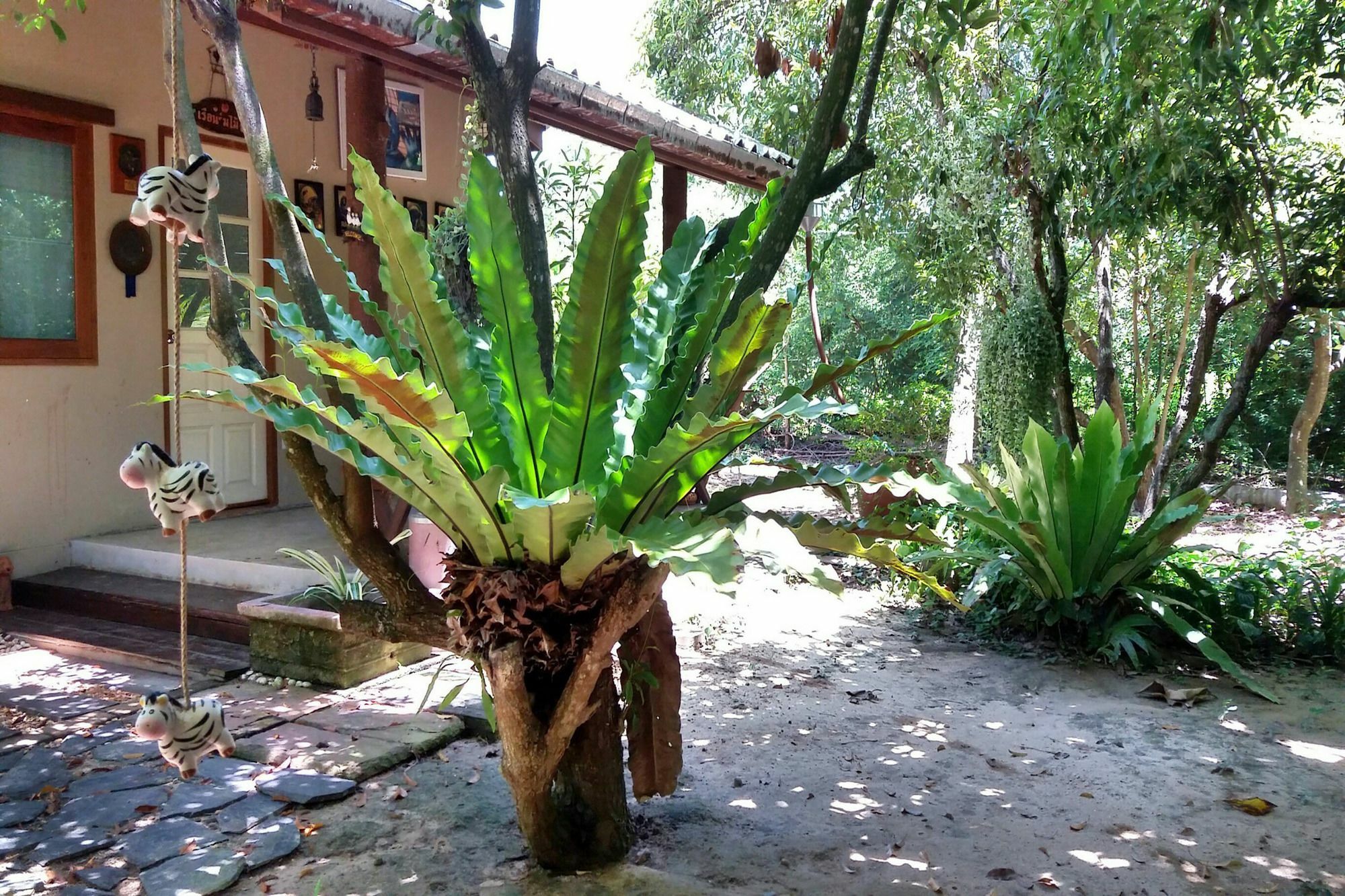 Rai Lung Tui Homestay Прачуапкхирикхан Экстерьер фото